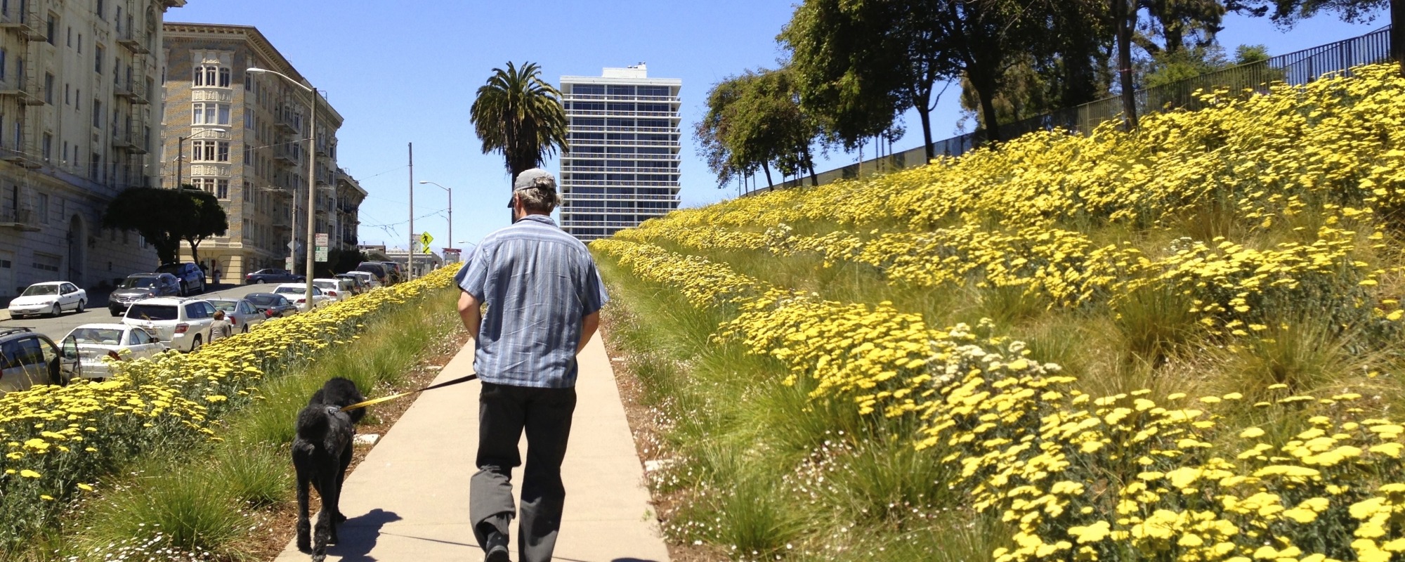 Lafayette Park