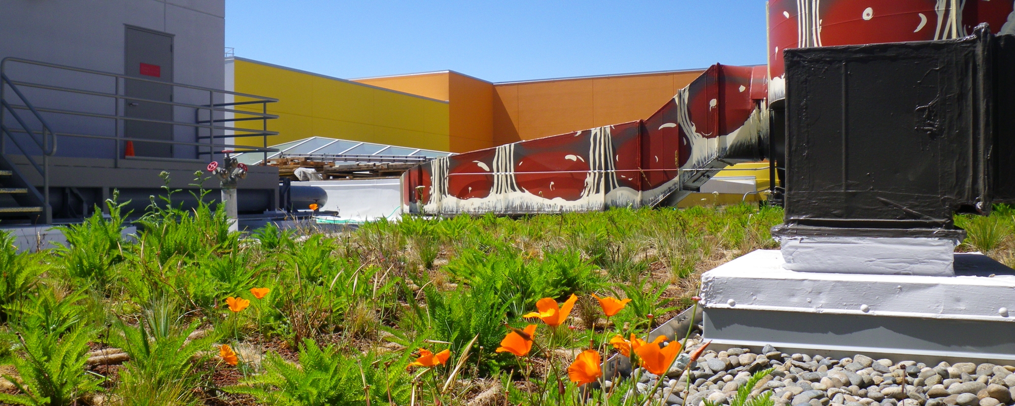 One South Van Ness Roof Replacement/Living Roof Project