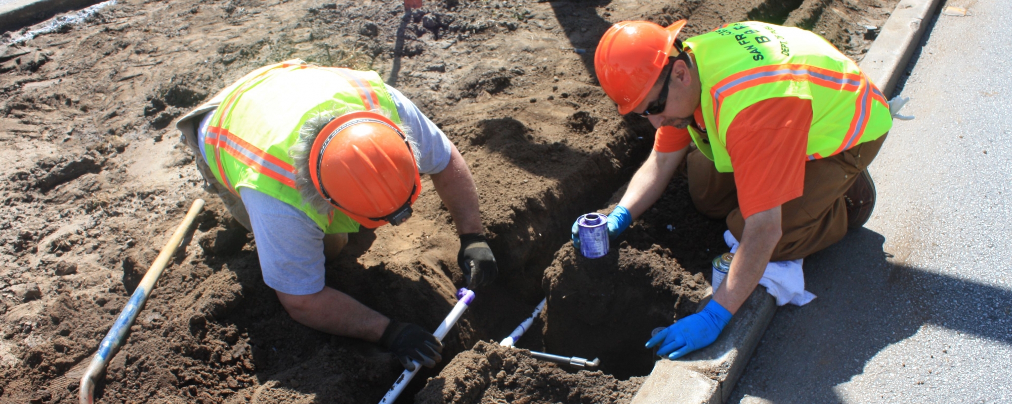 Sunset Boulevard Water Efficiency Project