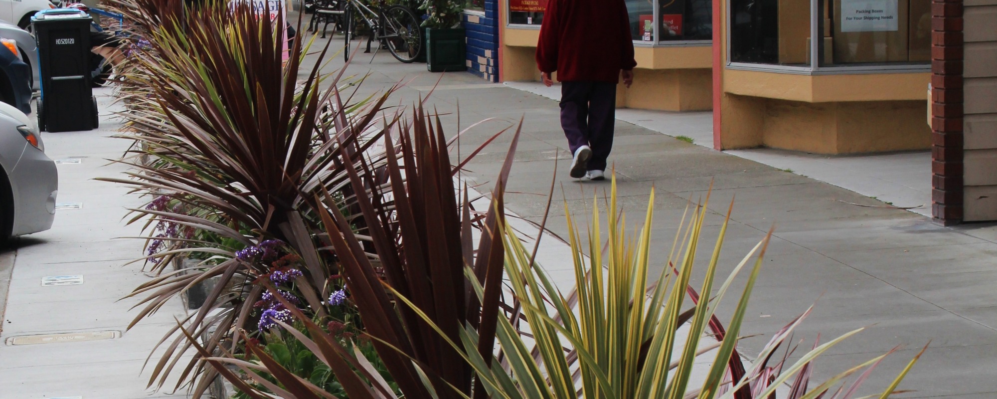 Balboa Streetscape Improvements