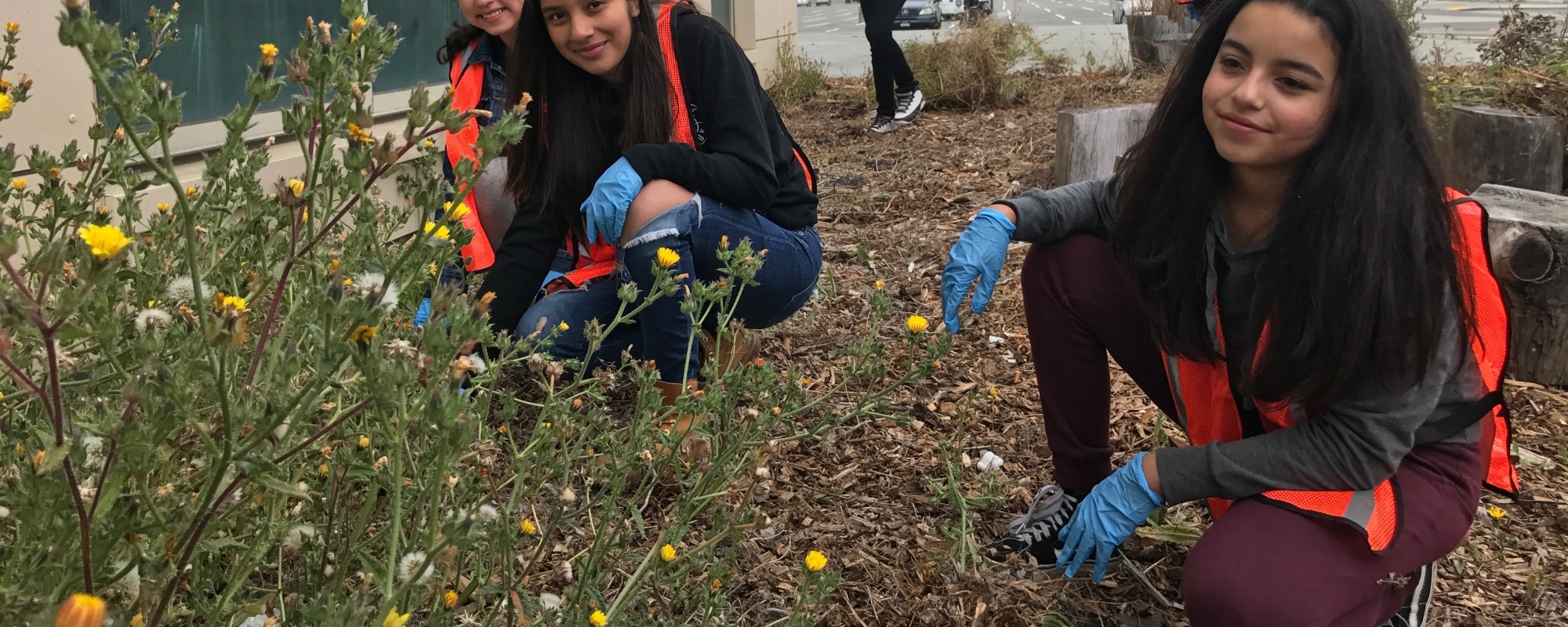 photo of volunteers