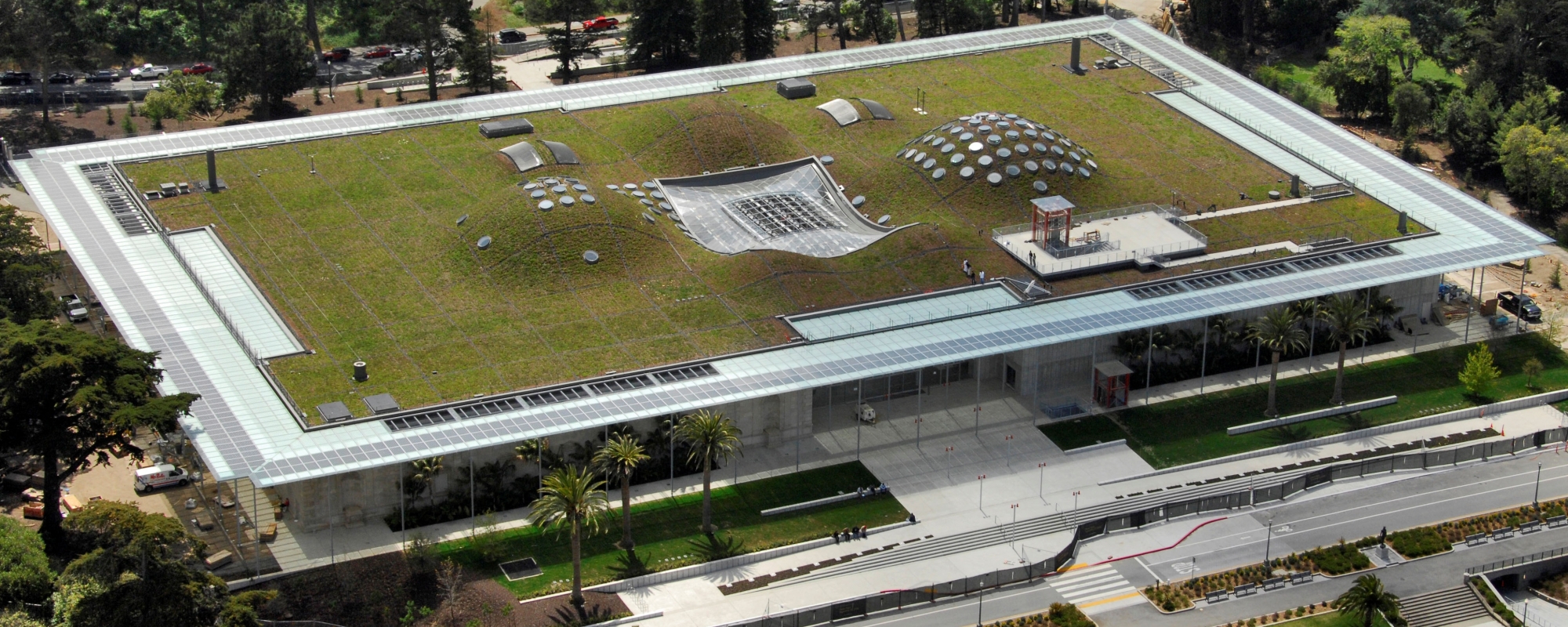 California Academy of Sciences