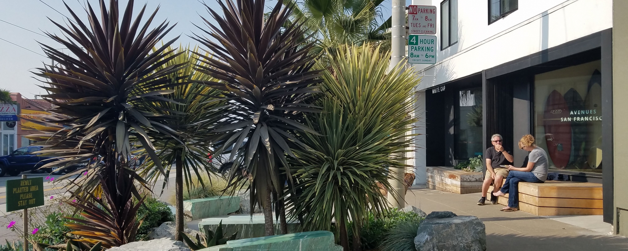 taraval planting