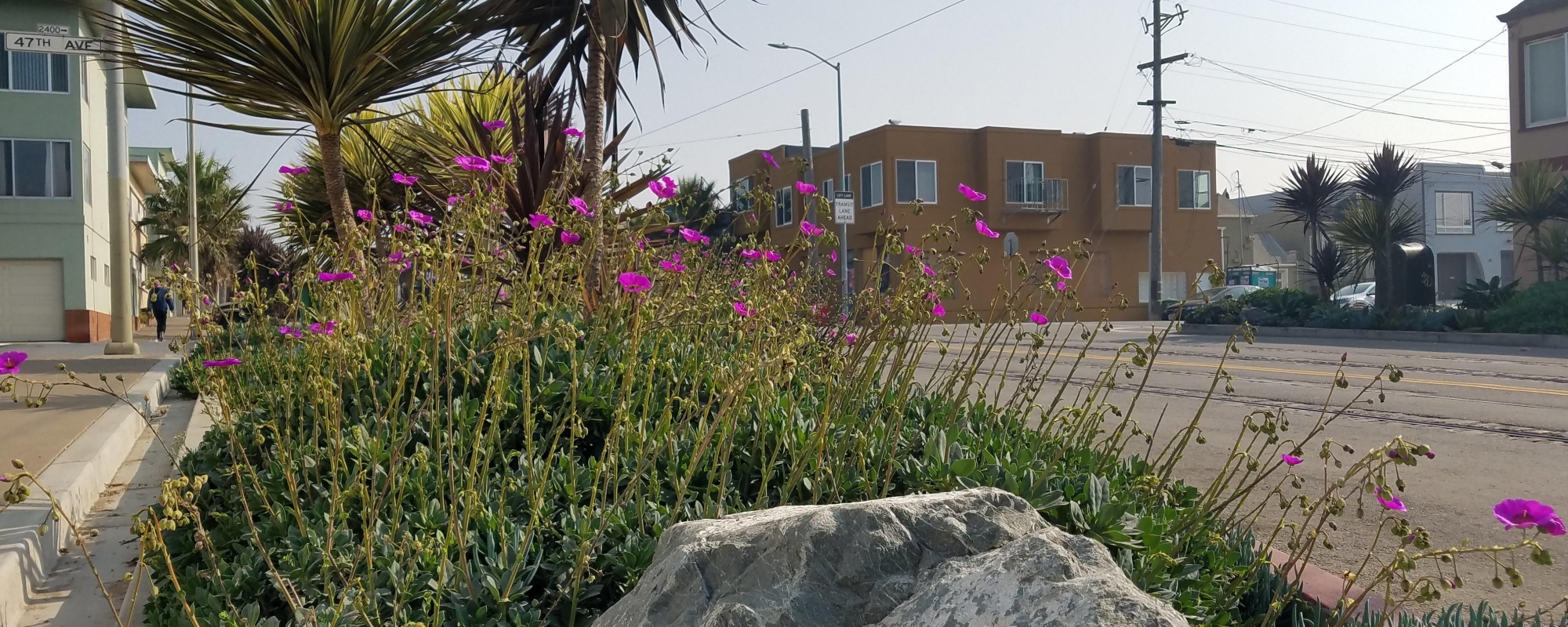 taraval landscaping